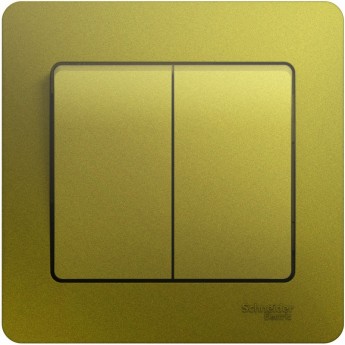 2-клавишный выключатель SCHNEIDER ELECTRIC GLOSSA, сх.5, 10АХ, в сборе, ФИСТАШКОВЫЙ
