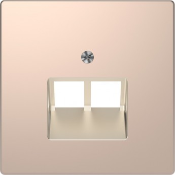 Центральная накладка SCHNEIDER ELECTRIC MERTEN D-LIFE для розетки 2-ной RJ45, ШАМПАНЬ