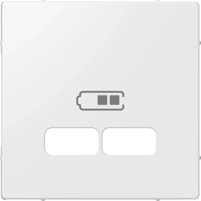 Центральная накладка SCHNEIDER ELECTRIC MERTEN для USB механизма 2,1А, ПОЛЯРНЫЙ БЕЛЫЙ, SM MTN4367-0319 Центральная накладка SCHNEIDER ELECTRIC MERTEN для USB механизма 2,1А, ПОЛЯРНЫЙ БЕЛЫЙ, SM MTN4367-0319