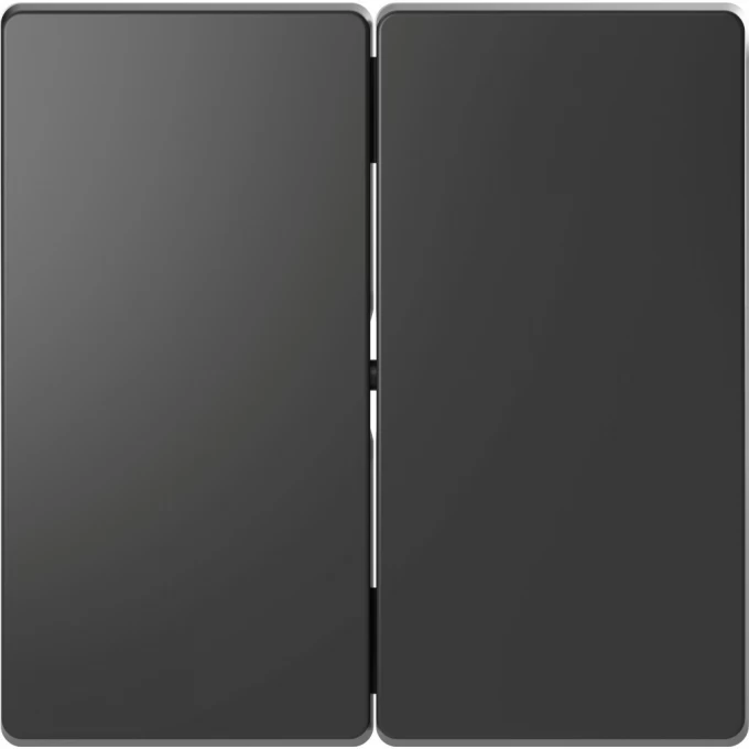 Клавиша двойная MERTEN D-LIFE, АНТРАЦИТ MTN3400-6034 Клавиша двойная MERTEN D-LIFE, АНТРАЦИТ MTN3400-6034