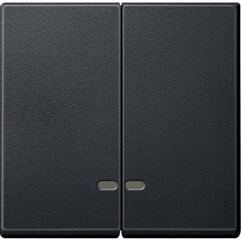 Клавиша двойная SCHNEIDER ELECTRIC MERTEN с окном для световой индикации, АНТРАЦИТ, SM