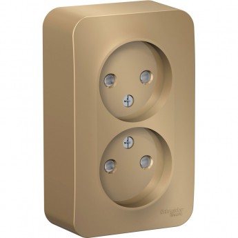 Розетка двойная SCHNEIDER ELECTRIC BLANCA без заземления, со шторкой, с изолирующей пластиной, 16А, 250В, титан